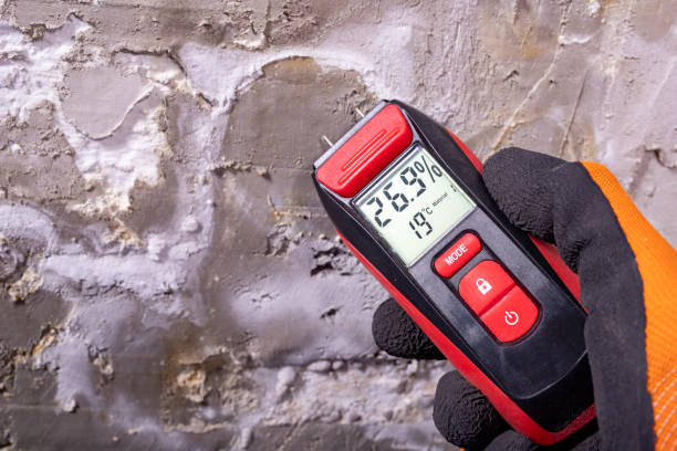 Best Emergency Mold Remediation in Danielson, CT